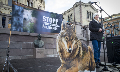FOR ULV: NOAH-leder Siri Martinsen holdt lørdag appell foran Stortinget i en større demonstrasjon for ulv i og andre rovdyr i norsk natur. Foto: Heiko Junge / NTB scanpix FOR ULV: NOAH-leder Siri Martinsen holdt lørdag appell foran Stortinget i en større demonstrasjon for ulv i og andre rovdyr i norsk natur. Foto: Heiko Junge / NTB scanpix