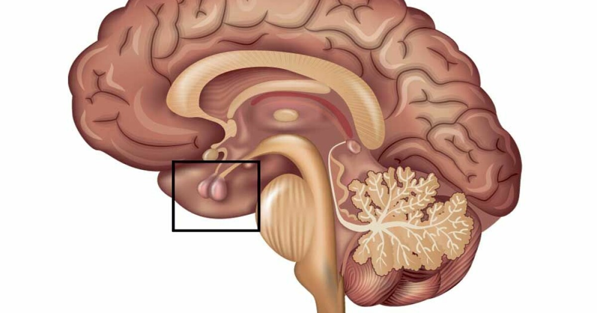 Blodprøver hormonforstyrrelser Blodprøver hormonforstyrrelser