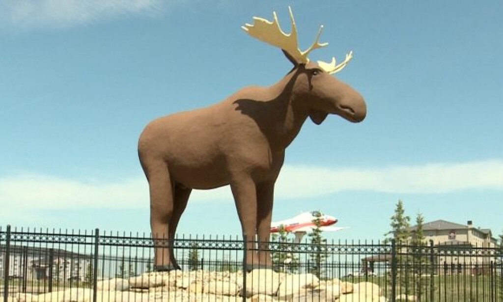 VERDENS NEST STØRSTE: Mac the Moose i Moose Jaw i Canada. VERDENS NEST STØRSTE: Mac the Moose i Moose Jaw i Canada.