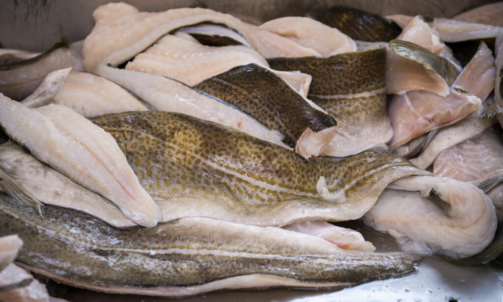 image: Skjulte opptak avdekket skandalen: Norsk fisk pumpes full av kjemikalier i Kina