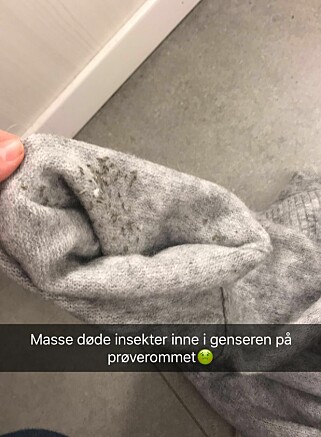 ULLGENSER: Det skal ha vært flere gensere av den samme typen til salgs i butikken tirsdag, ifølge Lene Bedsvåg. Foto: Privat ULLGENSER: Det skal ha vært flere gensere av den samme typen til salgs i butikken tirsdag, ifølge Lene Bedsvåg. Foto: Privat