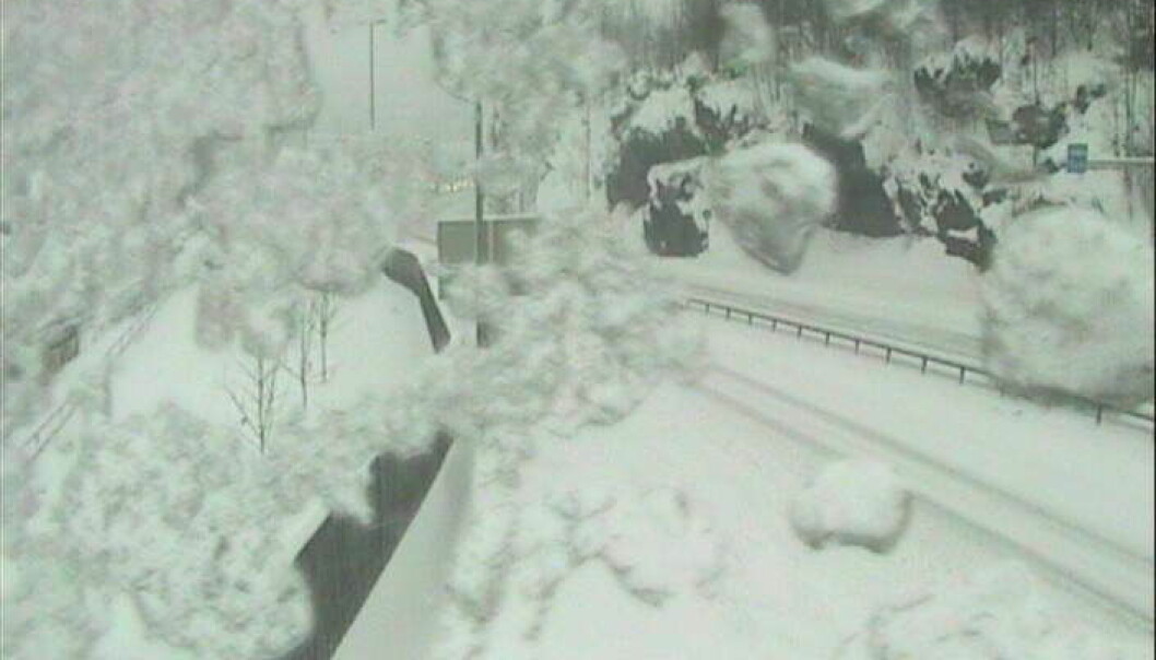 Snøvær og kuling har startet angrepet mot Sørlandet Snøvær og kuling har startet angrepet mot Sørlandet