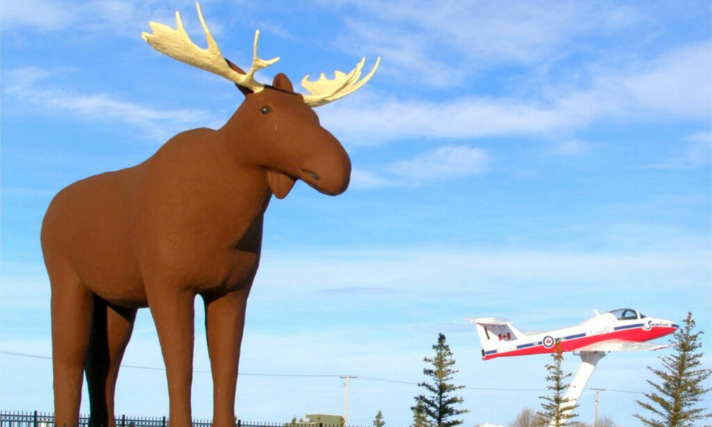 Canada Battles Norway For Tallest Moose Statue Norwegians Seeking Moose Truce Dagbladet