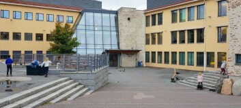 Flere elever skal ha blitt forsøkt lokket inn i en bil Flere elever skal ha blitt forsøkt lokket inn i en bil