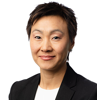 SKATTEETATEN: Eve Vangsnes Bergli, divisjonsdirektør for Innsats. Foto: Skatteetaten/Bård Brinchmann Løvvig SKATTEETATEN: Eve Vangsnes Bergli, divisjonsdirektør for Innsats. Foto: Skatteetaten/Bård Brinchmann Løvvig