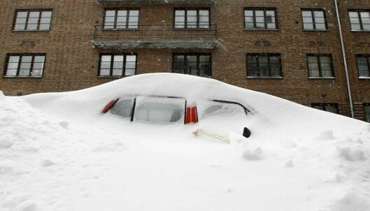 Glem våren! Nå er det varslet en halvmeter snø Glem våren! Nå er det varslet en halvmeter snø