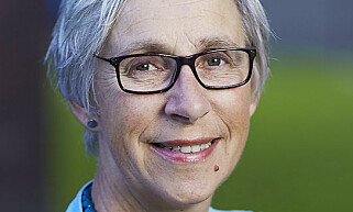 MATTILSYNET: Karen Johanne Baalsrud. MATTILSYNET: Karen Johanne Baalsrud.