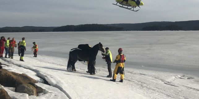 image: Dramatisk redningsaksjon etter at hest gikk gjennom isen