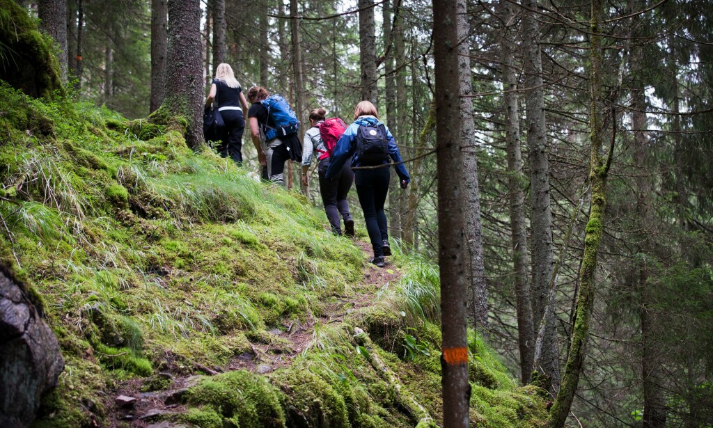 FRILUFTSLIV: Her kan du virkelig nyte skogens ro. Foto: Glaskogens Camping FRILUFTSLIV: Her kan du virkelig nyte skogens ro. Foto: Glaskogens Camping