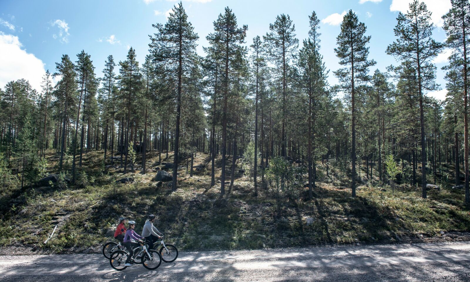 FAMILIEN PÅ HJUL: Den herlige varmländske naturen byr på mange flotte sykkelmuligheter. FAMILIEN PÅ HJUL: Den herlige varmländske naturen byr på mange flotte sykkelmuligheter.