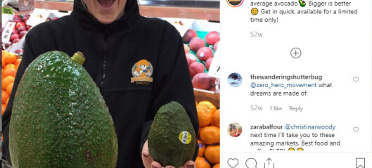 Bama om monster-avokado: - Vi tester nå Bama om monster-avokado: - Vi tester nå