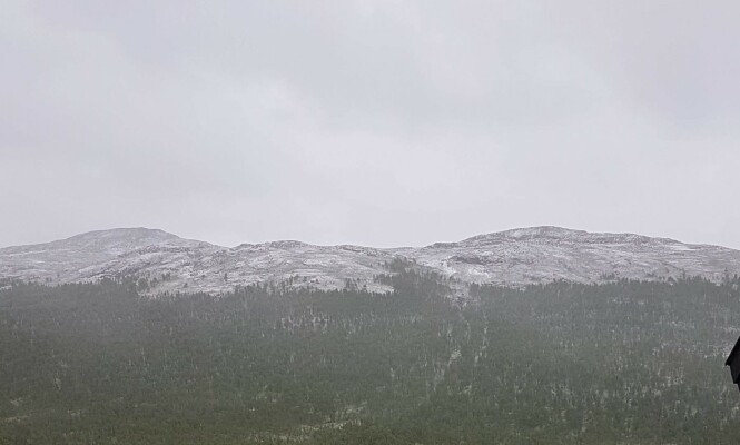 <strong>NORSK SOMMER:</strong> På 1100-1200 meters høyde ble snøen liggende. Foto: Hilde Hatlo <strong>NORSK SOMMER:</strong> På 1100-1200 meters høyde ble snøen liggende. Foto: Hilde Hatlo