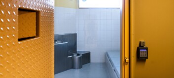 Oversikt: Dette leser norske kriminelle Oversikt: Dette leser norske kriminelle