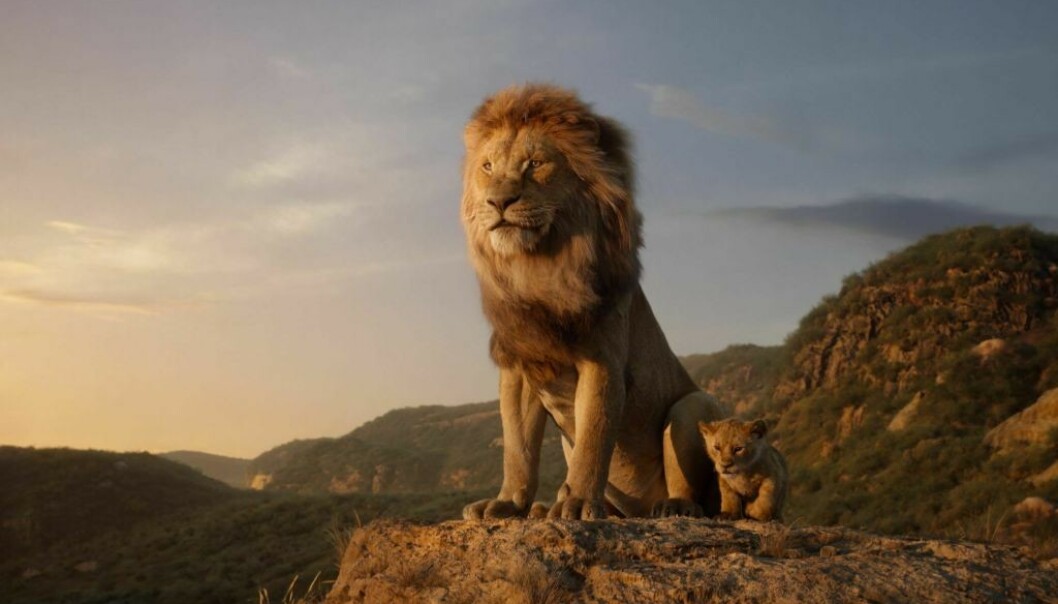 - EN DAG SKAL ALT DETTE BLI DITT: I «Løvenes Konge» må lille Simba ta over kongerollen etter sin far Mufasa, som blir drept av sin bror Scar - som selv vil overta tronen. FOTO: NTB Scanpix - EN DAG SKAL ALT DETTE BLI DITT: I «Løvenes Konge» må lille Simba ta over kongerollen etter sin far Mufasa, som blir drept av sin bror Scar - som selv vil overta tronen. FOTO: NTB Scanpix