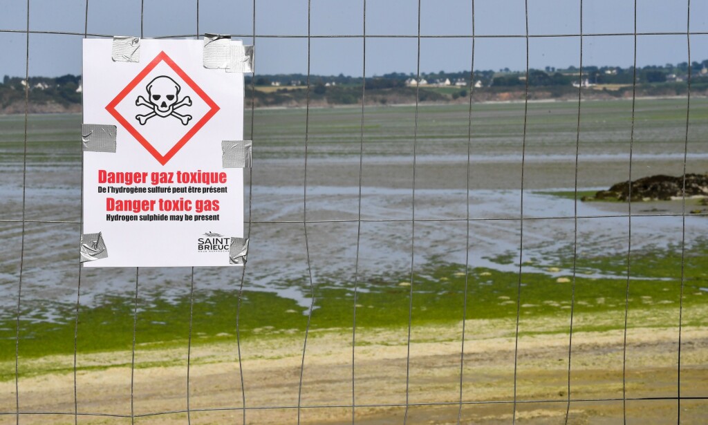 STENGT: Skilt som advarer mot giftig gass har blitt satt opp på stranda i Vallais, nordvest i Frankrike. Foto: Loic Venance / AFP / NTB Scanpix