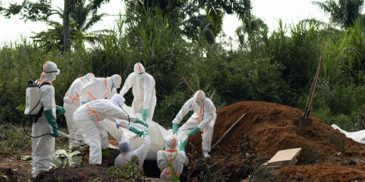 image: WHO: Ebolautbruddet i Kongo er en global krise