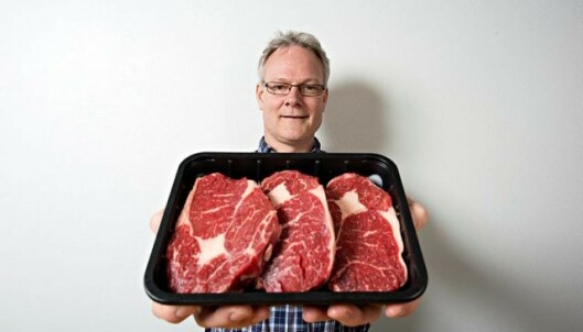PERFEKT MARMORERT: Rune Rødbotten viser frem det han mener er perfekt marmorert kjøtt. Foto: Jon-Are Berg-Jacobsen/Nofima PERFEKT MARMORERT: Rune Rødbotten viser frem det han mener er perfekt marmorert kjøtt. Foto: Jon-Are Berg-Jacobsen/Nofima