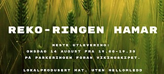 ØKER STADIG: Reko-ringene øker stadig i omfang og dukker opp over hele Norge. ØKER STADIG: Reko-ringene øker stadig i omfang og dukker opp over hele Norge.