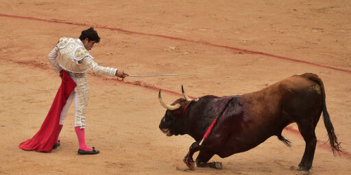image: Tyrefekting gjenopptas på Mallorca - enorme protester