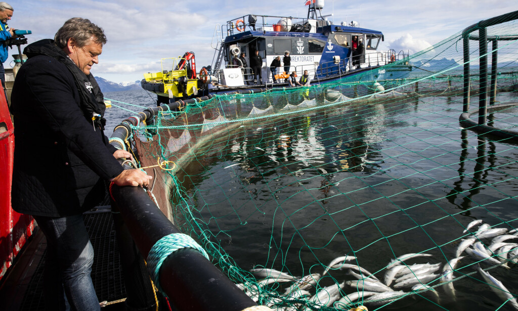 PÅ AVVEIE: Fiskedritten er ressurser på avveie. Ved å drifte i lukkede anlegg, vil vi ta vare på dritten og bruke den som biogass, jordforbedring, i algedyrking og sågar i sementproduksjon, skriver innsenderen. Her er fiskeriminister Harald T. Nesvik (Frp) i Lødingen. Algeoppblomstringen i mai tok livet av over ti tusen tonn laks. Foto: Berit Roald / NTB scanpix