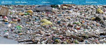 FN-rapport overrasker:- Mikroplast ikke farlig FN-rapport overrasker:- Mikroplast ikke farlig