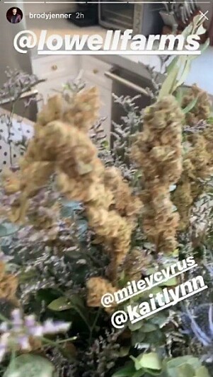 GRØNN GAVE: Brody Jenner fikk også en egen bukett laget av marihuana. Foto: Skjermdump fra Instagram GRØNN GAVE: Brody Jenner fikk også en egen bukett laget av marihuana. Foto: Skjermdump fra Instagram