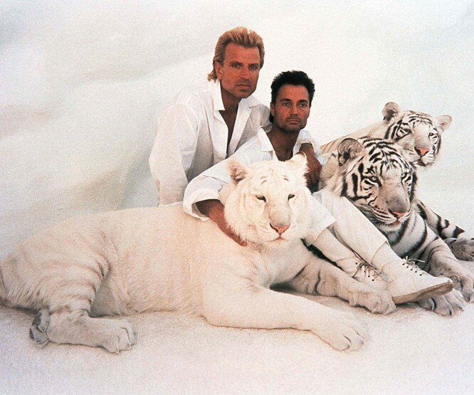 BROTHER FROM ANOTHER MOTHER: Siegfried &Roy med noen av sine hvite tigre og løver, som de betraktet som familiemedlemmer. Nå er altså Roy Horn (t.h.) død. FOTO: NTBScanpix BROTHER FROM ANOTHER MOTHER: Siegfried &Roy med noen av sine hvite tigre og løver, som de betraktet som familiemedlemmer. Nå er altså Roy Horn (t.h.) død. FOTO: NTBScanpix