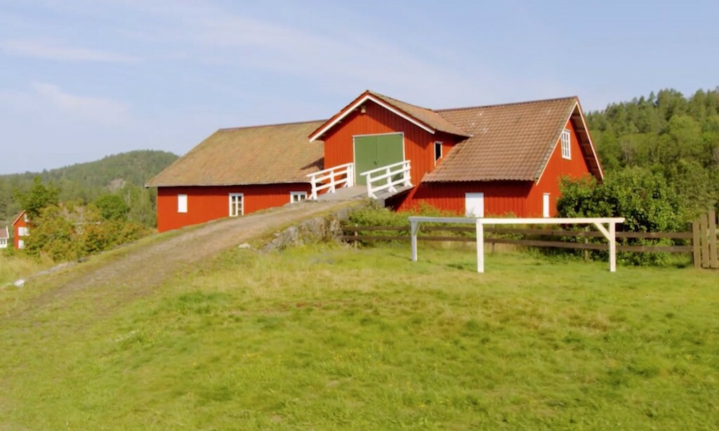 Vibecke tuner seg inn på låvens HØY-frekvens (pun SÅ TIL DE GRADER intended). Foto: TV2 Vibecke tuner seg inn på låvens HØY-frekvens (pun SÅ TIL DE GRADER intended). Foto: TV2