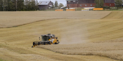 image: Regjeringen dropper beredskapslager av korn