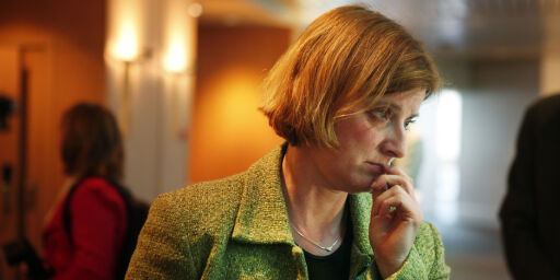 image: Politikere undergraver folkets ombudsmann
