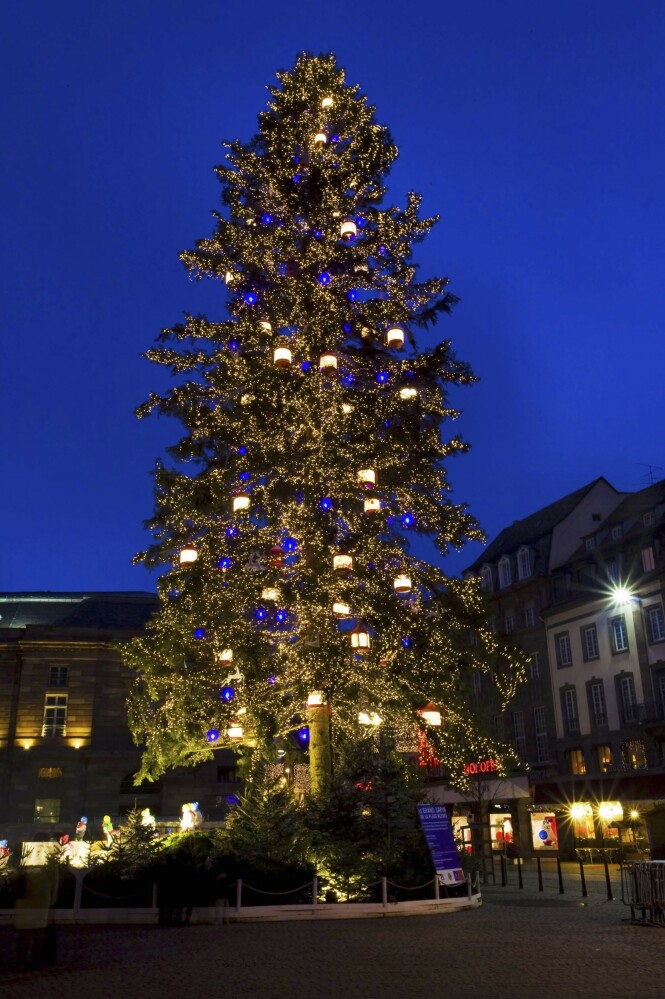Selve symbolet på Strasbourg som julehovedstad står på Place Kléber i hjertet av Grand Île. Det 28 meter høye treet er Frankrikes høyeste juletre. FOTO: NTBScanpix Selve symbolet på Strasbourg som julehovedstad står på Place Kléber i hjertet av Grand Île. Det 28 meter høye treet er Frankrikes høyeste juletre. FOTO: NTBScanpix