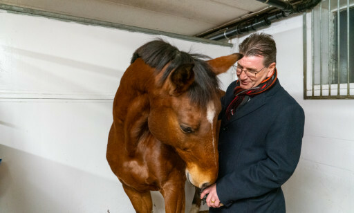 BESØK: AP-politiker Stein Erik Lauvås er engasjert i hestesporten og besøkte et hestesenter i forrige uke. Foto: privat BESØK: AP-politiker Stein Erik Lauvås er engasjert i hestesporten og besøkte et hestesenter i forrige uke. Foto: privat