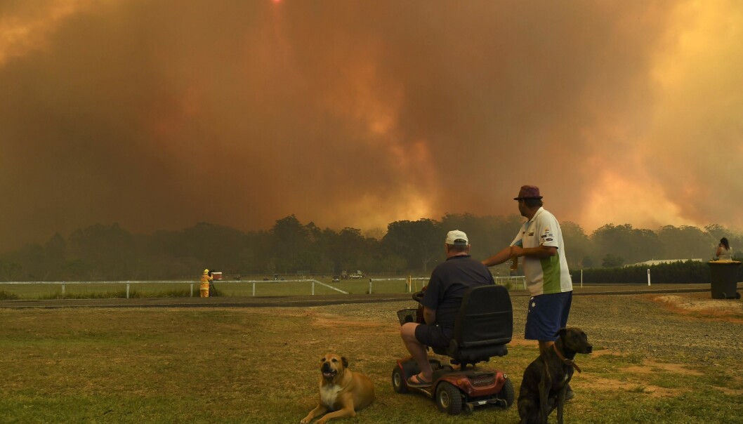 RØYK: To personer følger skogbrannene litt nord for Sydney. Foto: William West/AFP RØYK: To personer følger skogbrannene litt nord for Sydney. Foto: William West/AFP
