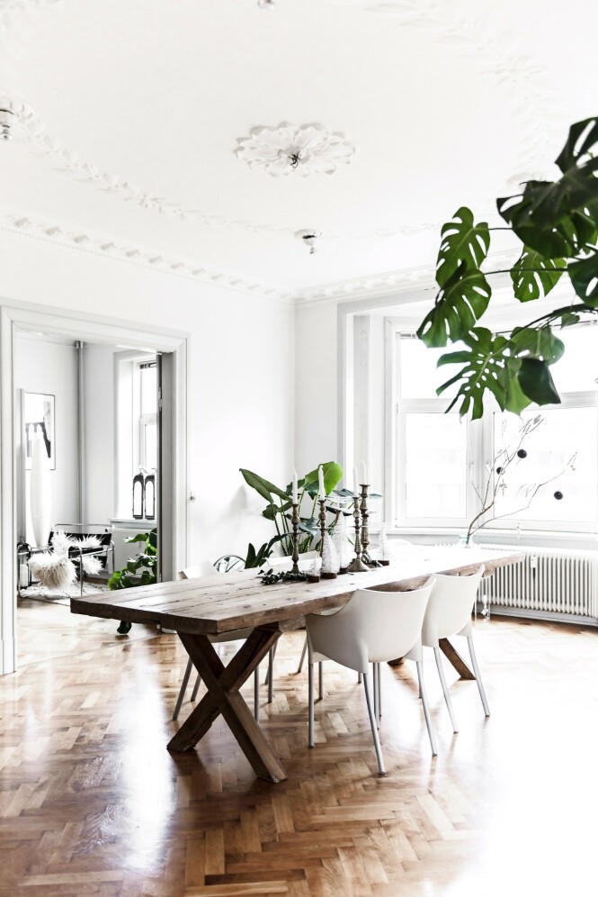 I spisestuen er pynten skåret ned til det minimale. Bordet med sine lysestaker og sine diskré dekorasjoner står i sentrum. Slik får det fine parkettgulvet og stukkaturen i taket mer oppmerksomhet. Tips! Når du pynter med få ting, vil hver enkelt dekorelement få mer oppmerksomhet. FOTO: Benjamin Lee Rønning Lassen I spisestuen er pynten skåret ned til det minimale. Bordet med sine lysestaker og sine diskré dekorasjoner står i sentrum. Slik får det fine parkettgulvet og stukkaturen i taket mer oppmerksomhet. Tips! Når du pynter med få ting, vil hver enkelt dekorelement få mer oppmerksomhet. FOTO: Benjamin Lee Rønning Lassen