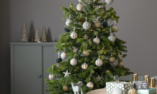 FRODIG: Mye vann og tilsatt næring i vannet, er to av nøkkelingrediensene for å holde juletreet frodig og grønt gjennom julen. Foto: Mester Grønn. FRODIG: Mye vann og tilsatt næring i vannet, er to av nøkkelingrediensene for å holde juletreet frodig og grønt gjennom julen. Foto: Mester Grønn.