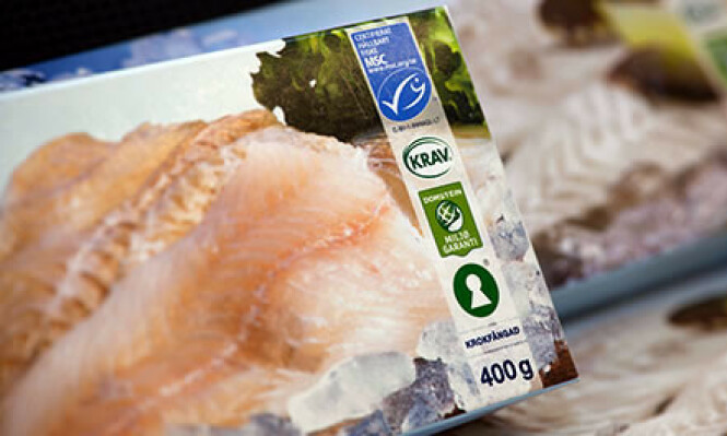 KVALITETSMERKET TORSK: Krav-merket garanterer at fisken er produsert under lovlige arbeidsforhold. Foto: KRAV KVALITETSMERKET TORSK: Krav-merket garanterer at fisken er produsert under lovlige arbeidsforhold. Foto: KRAV