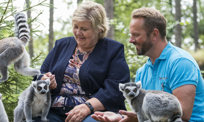 <strong>KONTROVERSIELT:</strong> Administrerende direktør for Kirstiansand Dyrepark, Per Arnstein Aamot, beskriver Aspinalls uttalelser som kontroversielle. Her er Aamot avbildet sammen med statsminister Erna Solberg og noen av Dyreparkens ringhalelemurer.
Foto: Tor Erik Schrøder / NTB scanpix <strong>KONTROVERSIELT:</strong> Administrerende direktør for Kirstiansand Dyrepark, Per Arnstein Aamot, beskriver Aspinalls uttalelser som kontroversielle. Her er Aamot avbildet sammen med statsminister Erna Solberg og noen av Dyreparkens ringhalelemurer.
Foto: Tor Erik Schrøder / NTB scanpix