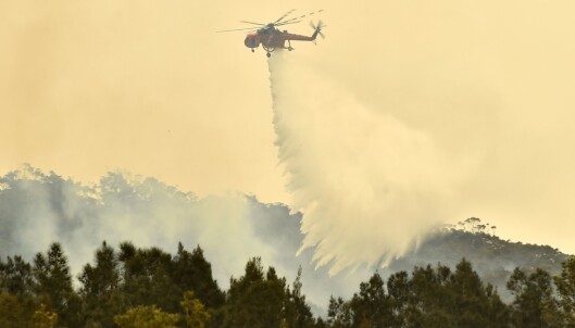 <strong>NASJONAL KRISE:</strong> Et helikopter dropper vann over Batemans Bay i New South Wales, der brannene nå herjer. I dag utførte myndighetene tvungen evakuering av innbyggere i området. Foto: Peter Parks / Afp / NTB Scanpix <strong>NASJONAL KRISE:</strong> Et helikopter dropper vann over Batemans Bay i New South Wales, der brannene nå herjer. I dag utførte myndighetene tvungen evakuering av innbyggere i området. Foto: Peter Parks / Afp / NTB Scanpix