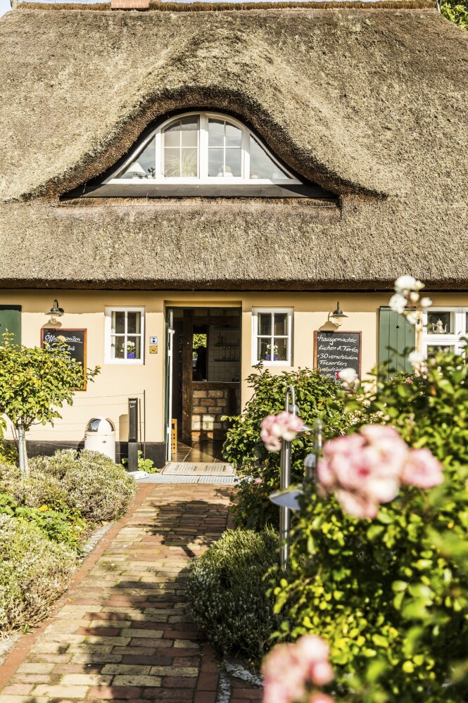 Café Rosengarten er et kjempehyggelig sted. FOTO: Mikkel Bækgaard Café Rosengarten er et kjempehyggelig sted. FOTO: Mikkel Bækgaard