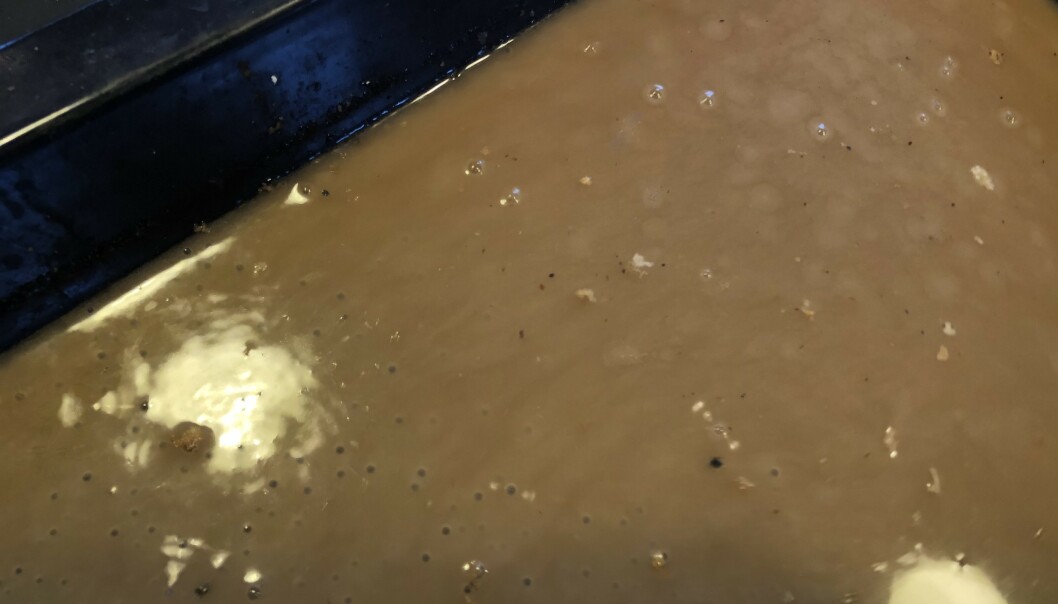 Langpannen ble skinnende ren Langpannen ble skinnende ren