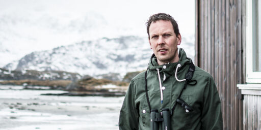 image: Når myra forsvinner