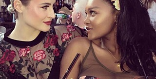 Image: Vennene i sorg