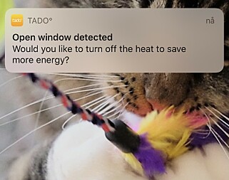 Har du ikke Auto-Assist må du justere temperaturen manuelt når Tado oppdager et åpent vindu. Har du ikke Auto-Assist må du justere temperaturen manuelt når Tado oppdager et åpent vindu.