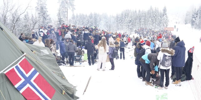 image: Stygt virus i Kollen