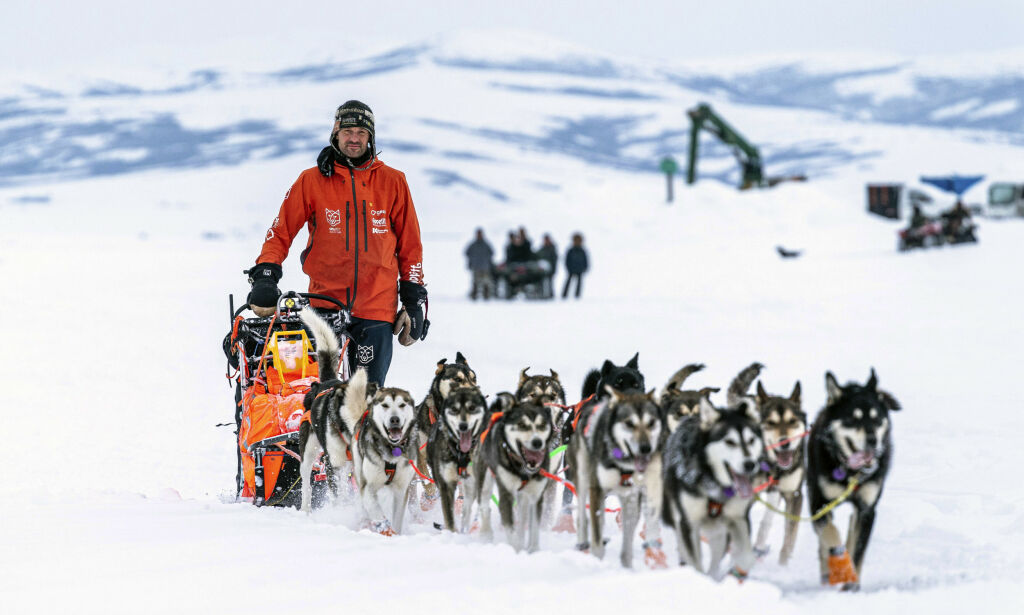 image: Nordmann vant verdens tøffeste hundeløp