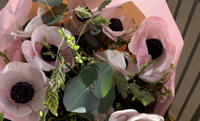 Blomster til meg sjøl fra meg sjøl, til støtte for en kjær blomsterbutikk som jeg håper vil overleve det økonomiske tapet coronakrisa påfører dem. Blomster til meg sjøl fra meg sjøl, til støtte for en kjær blomsterbutikk som jeg håper vil overleve det økonomiske tapet coronakrisa påfører dem.