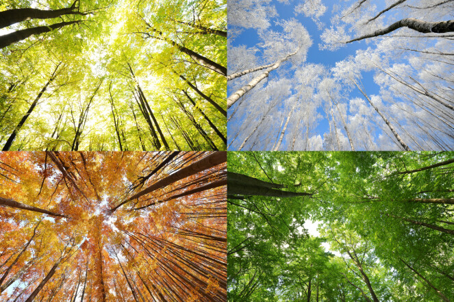 Foto: NTB Scanpix Foto: NTB Scanpix