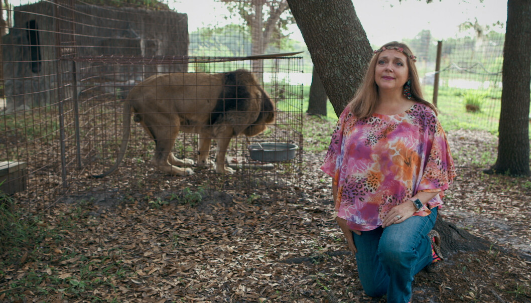 REDDENDE ENGEL?: Carole Baskin i parken sin «Big Cat Rescue» i Florida, der hun tar imot store kattedyr. Ikke alle i serien er enige i at gjerningen hennes er bare gode. FOTO: Netflix REDDENDE ENGEL?: Carole Baskin i parken sin «Big Cat Rescue» i Florida, der hun tar imot store kattedyr. Ikke alle i serien er enige i at gjerningen hennes er bare gode. FOTO: Netflix