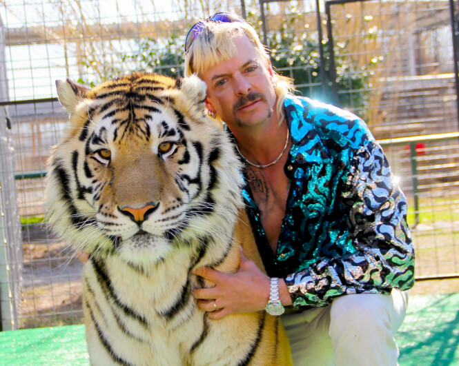EKSOTISK PAR: Joe Exotic sammen med en av de over hundre store kattedyrene i parken hans i Oklahoma. FOTO: Netflix EKSOTISK PAR: Joe Exotic sammen med en av de over hundre store kattedyrene i parken hans i Oklahoma. FOTO: Netflix