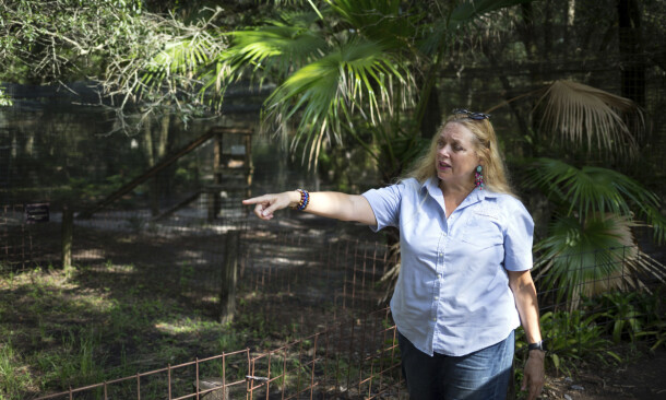 CAROLE BASKIN: «Tiger King»-profil Carole Baskin avbildet i juli 2017. Foto: Loren Elliott/ Tampa Bay Times via AP/ NTB scanpix CAROLE BASKIN: «Tiger King»-profil Carole Baskin avbildet i juli 2017. Foto: Loren Elliott/ Tampa Bay Times via AP/ NTB scanpix